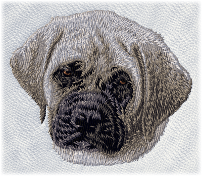 English Mastiff