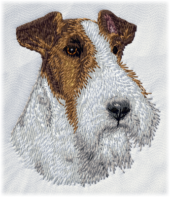 Fox Terrier