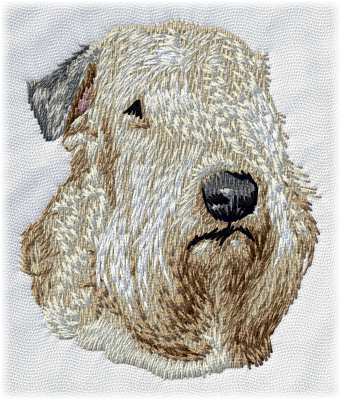 Soft Coated Wheaten Terrier