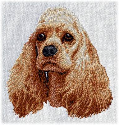 American Cocker Spaniel