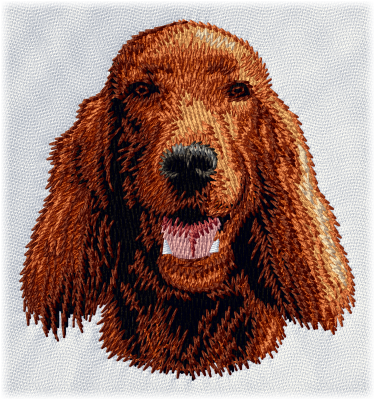 Irish Setter