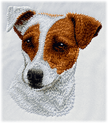 Jack Russell Terrier