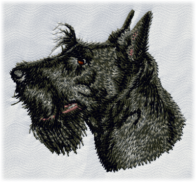 Scottish Terrier