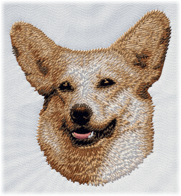 Pembroke Welsh Corgi