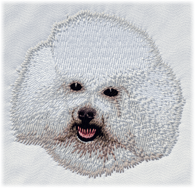 Bichon Frise