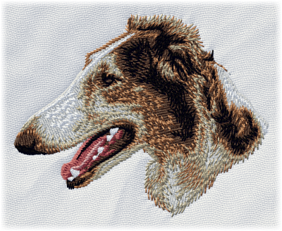 Borzoi