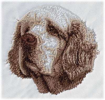 Clumber Spaniel