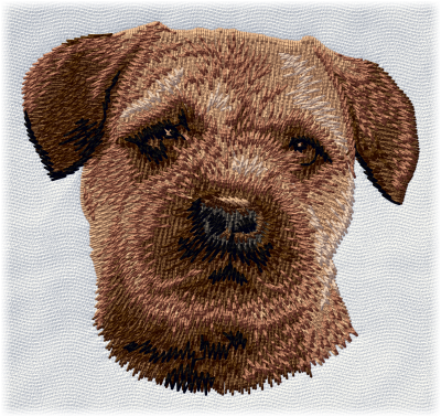 Border Terrier