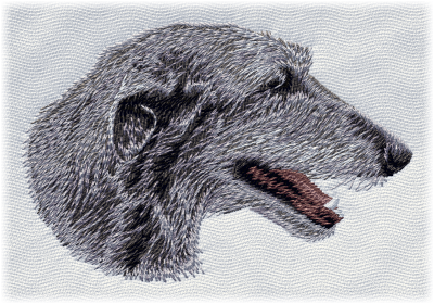 Scottish Deerhound