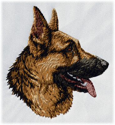 German Shepherd