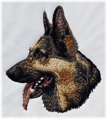 German Shepherd