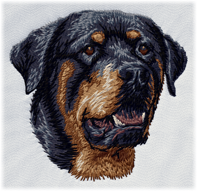 Rottweiler