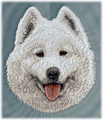 Samoyed