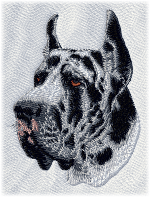 Great Dane