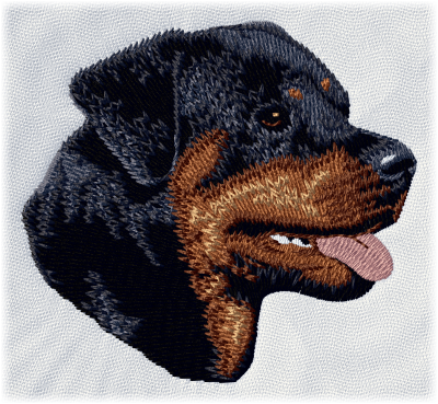 Rottweiler