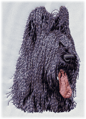 Briard