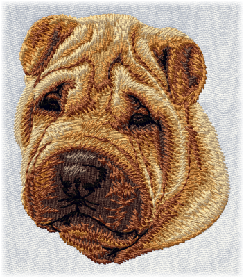 Chinese Shar-Pei