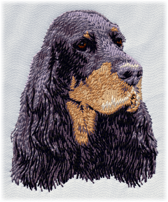 Gordon Setter