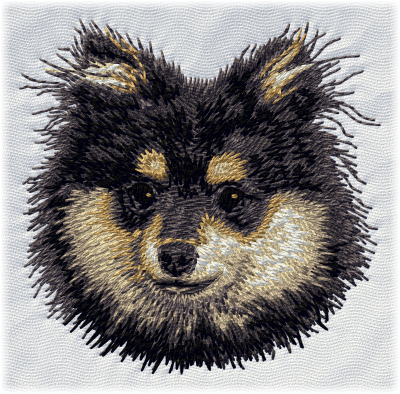 Pomeranian