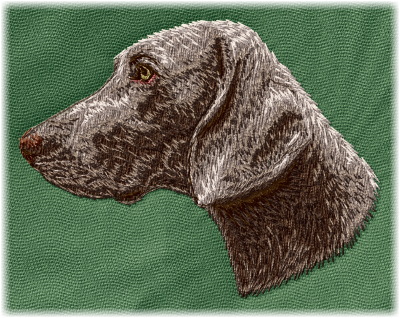 German Shorthaired Pointer