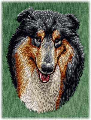 Collie