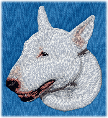 Bull Terrier