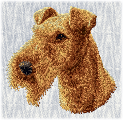 Irish Terrier