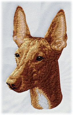 Pharaoh Hound