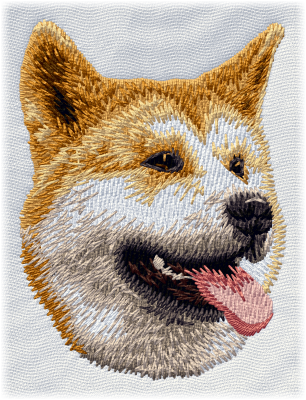 Shiba Inu