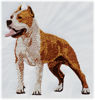 Staffordshire Terrier