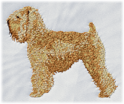 Irish Soft Coated Wheaten Terrier