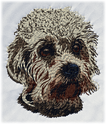 Dandie Dinmont Terrier