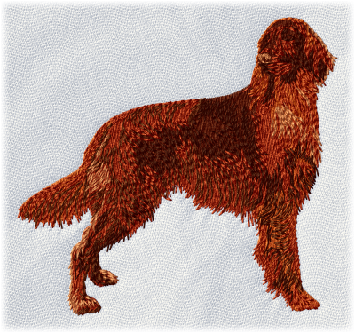 Irish Red Setter