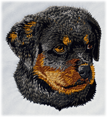 Rottweiler