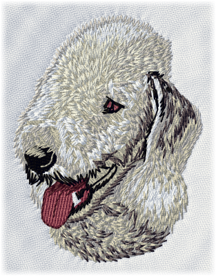 Bedlington Terrier