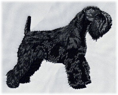 Schnauzer