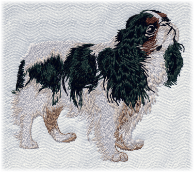 King Charles Spaniel