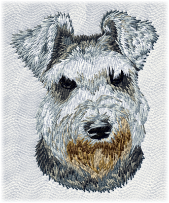 Schnauzer Miniature