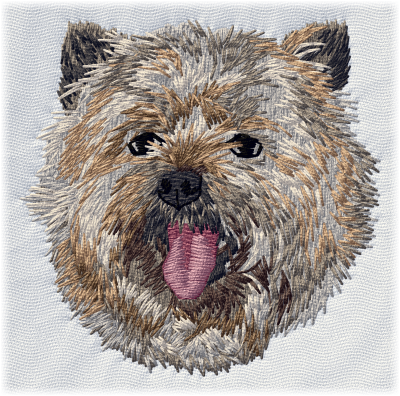 Cairn Terrier