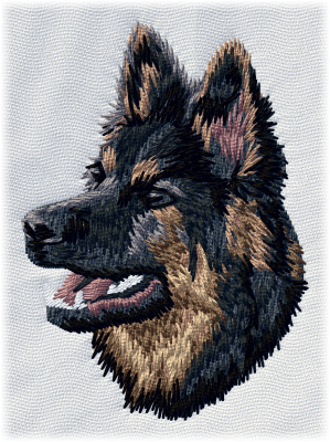 German Shepherd