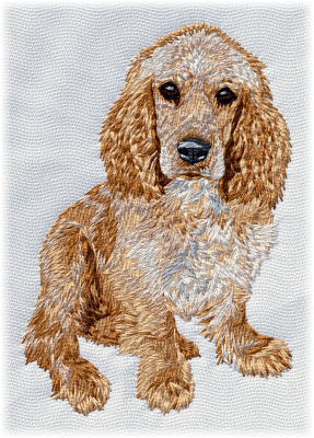 English Cocker Spaniel