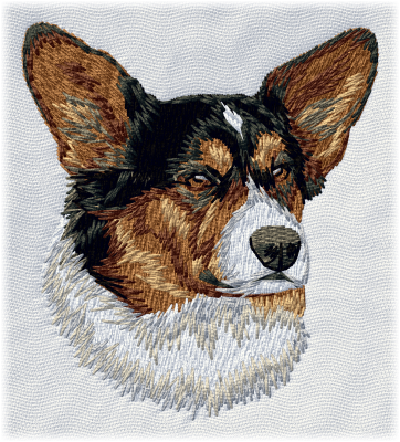 Cardigan Welsh Corgi