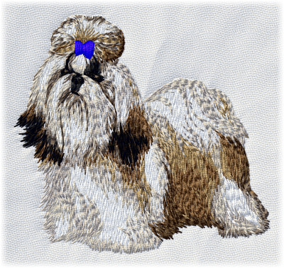 Shih-Tzu