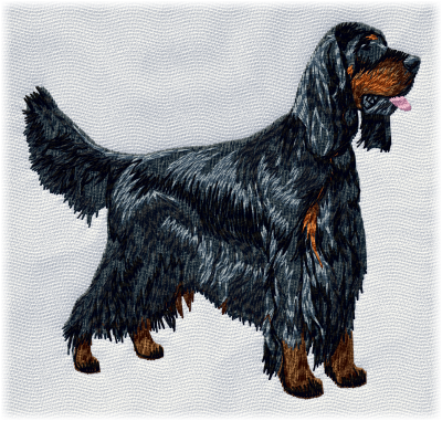 Gordon Setter