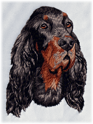 Gordon Setter