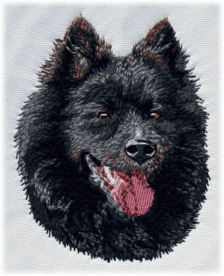 German Spitz