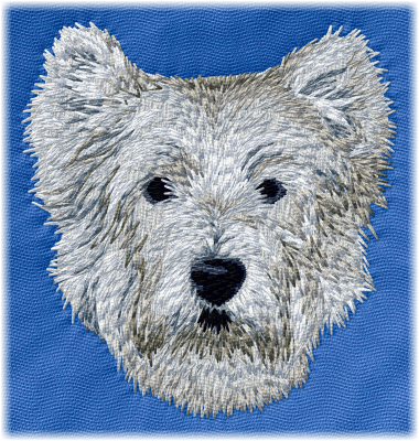 West Highland White Terrier