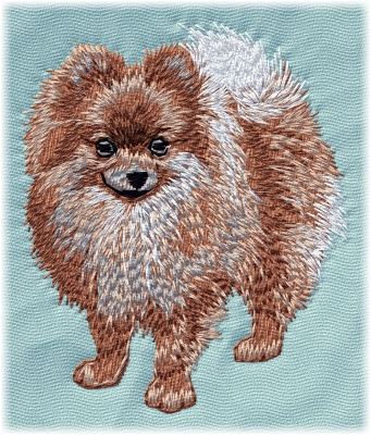 German Spitz