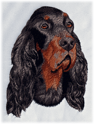 Gordon Setter