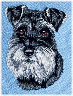 Schnauzer